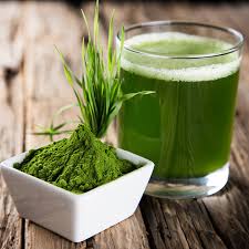 Barley grass juice